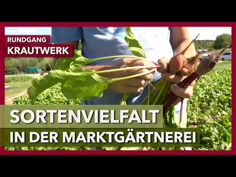 Sortenvielfalt in der Marktgärtnerei | Krautwerk | Rundgang 2