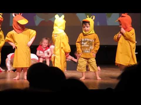 liedjes uit de oude doos: alle eendjes