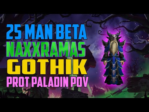 25 man Gothik Prot Paladin POV - WotLK Classic Beta