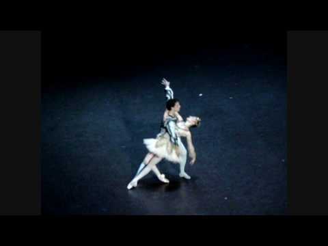 Stephane Bullion-Agnes Letestu in  Raymonda Acte 1