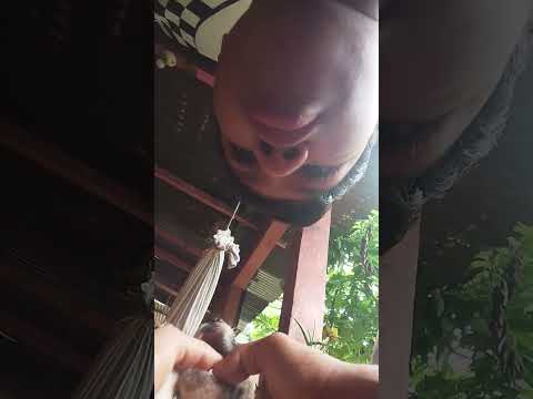 8 de noviembre de 2025