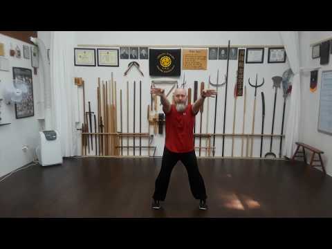 Fujian Five Ancestor Boxing - 20 punches (福建五祖拳二十拳)