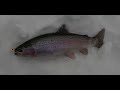 Video Thumbnail for Ice Fishing on Sealey Lake by SaskCast Angling (YouTube)