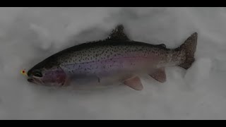 Ice Fishing on Sealey Lake by SaskCast Angling