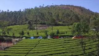 preview picture of video 'Campfire Tents, Munnar'
