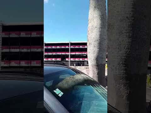 tudo pronto#festival#viva Garanhuns#turismo#cultura#pernambuco