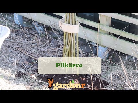 Pilkärve - Trädgårdshacks med GardenR