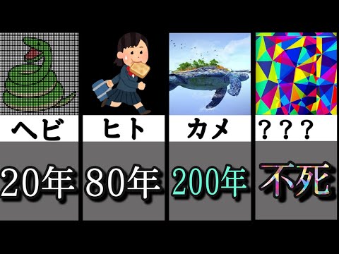 最も長生きする動物 - 9. クロックフィッシュ (150 年)