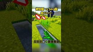 統合版vsJava版...差がえぐい...【マイクラ】