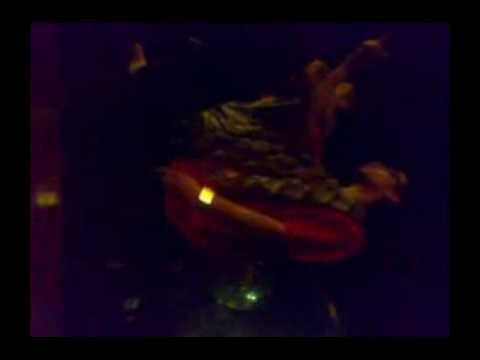 Fox Djare Ralmo (Paracin 14.03.2014)