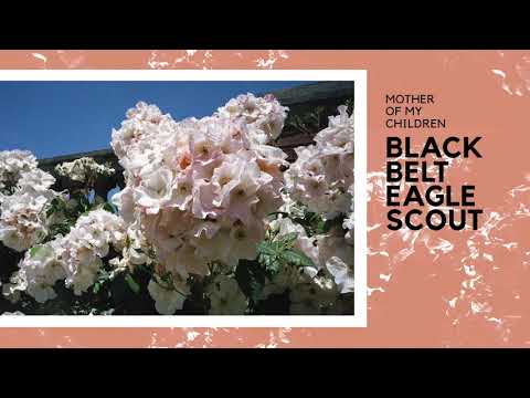 Black Belt Eagle Scout - Soft Stud [Official Audio]