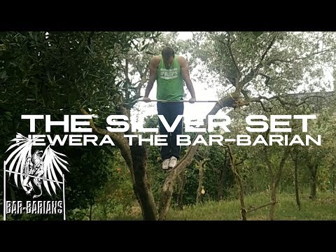 The Silver Set: 20 Pullups / 20 Muscleups / 20 Dips / 10 Pullups