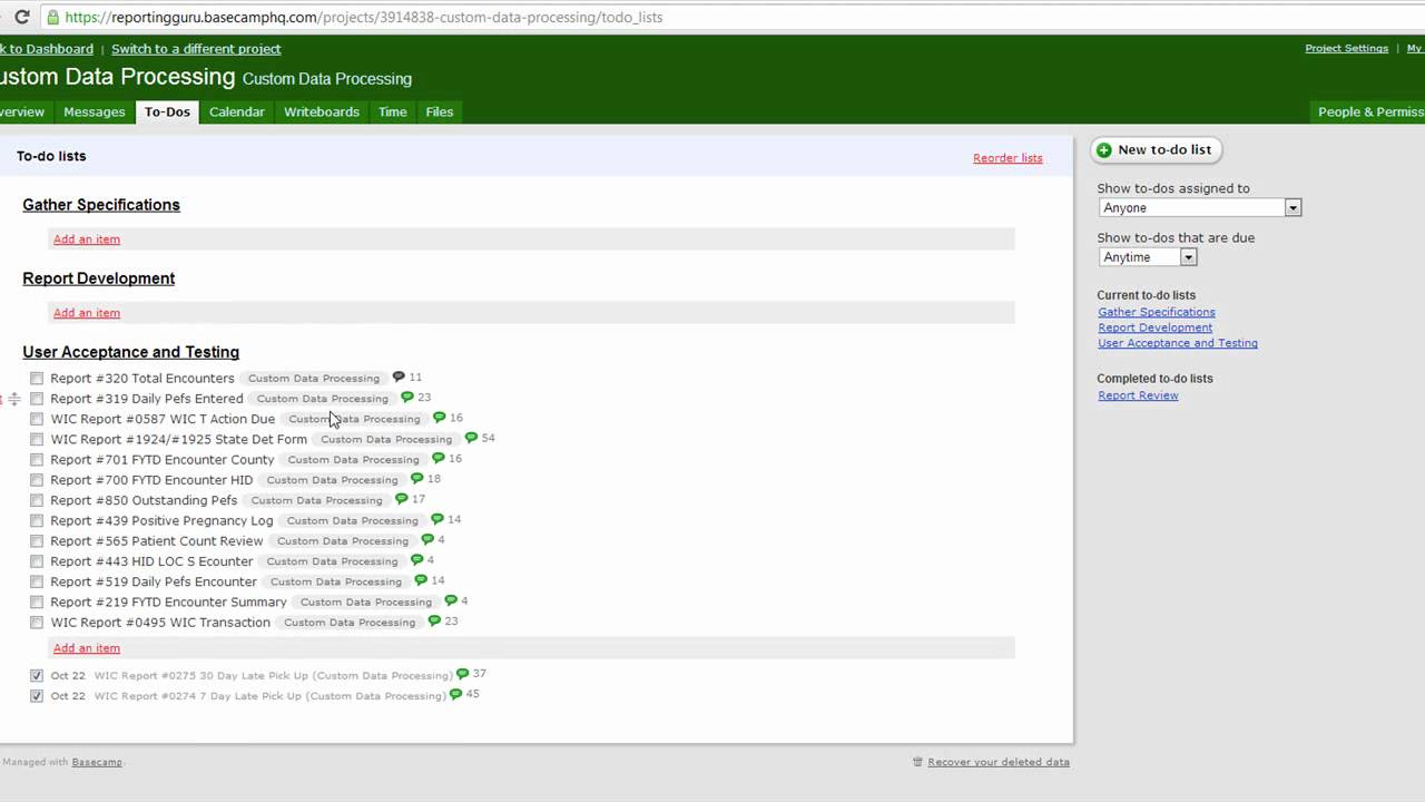 Basecamp Tutorial | Report Building Process | ReportingGuru