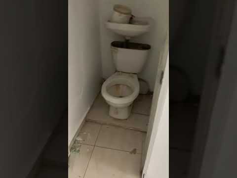 6 de outubro de 2023