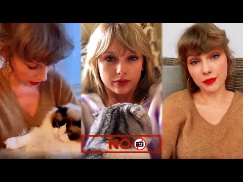 Taylor Swift's update on her cat Meredith