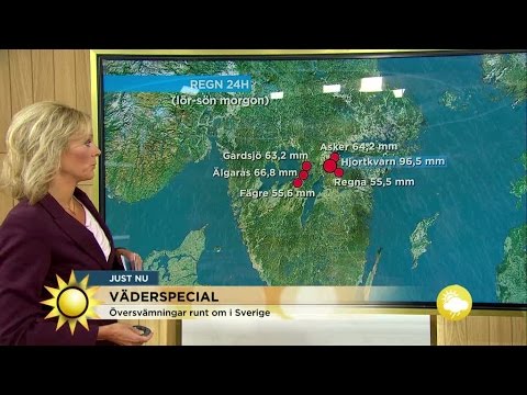 "Mer regn på ett dygn än vad som är normalt för september månad" - Nyhetsmorgon (TV4)