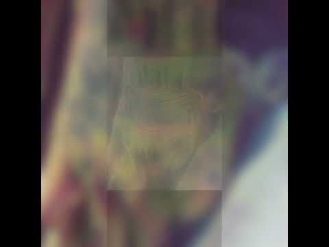 16 bars (Rip Ledobandz)