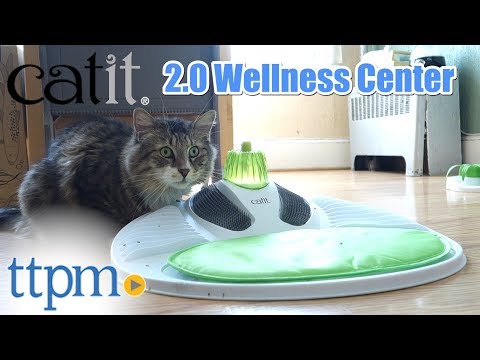 Cat Relaxation and Wellness Center