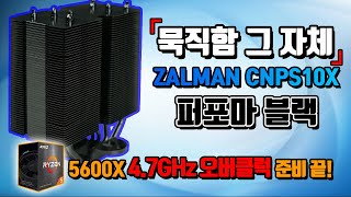 퀘이사존