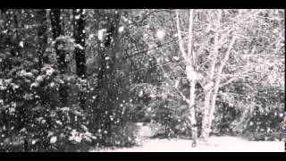 Miss Mog - Meteoritmo (Tutto qui - 2014)