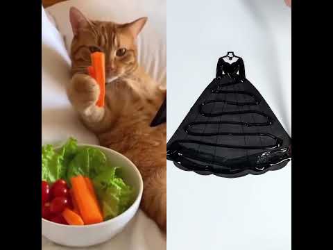 خس وجزر 😵‍💫😂