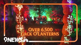 Magic of the Jack O&#39;Lanterns, 13th Floor Haunted House return for the Halloween season