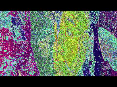 Sebastian Republic - Back to Black (Amy Winehouse Cover)