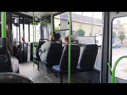 Ikarus 260.46 (BPI-211) [117-es busz] Mélytó utca - Gyógyszergyár