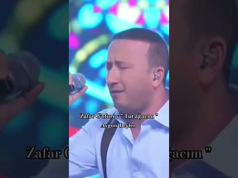 Zafar G'ofurov "Tut ağacım" #toshkent #ташкент #uzbekistan #jonliijro #узбекистан