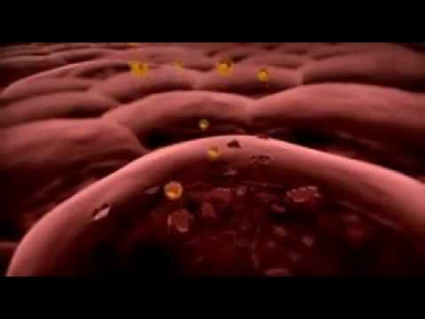 Das Imperium der Viren Part 2 von 5