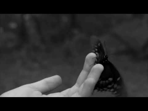 XION. - Fallin [prod. Caps Ctrl]