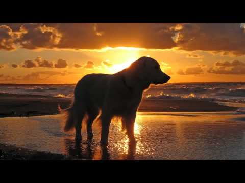 Mike Mikhijan - Clifton Beach (Original Mix)