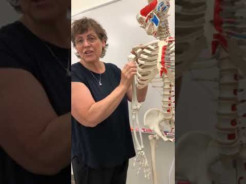 Live with Leigh - Scar Tissue on the Chest