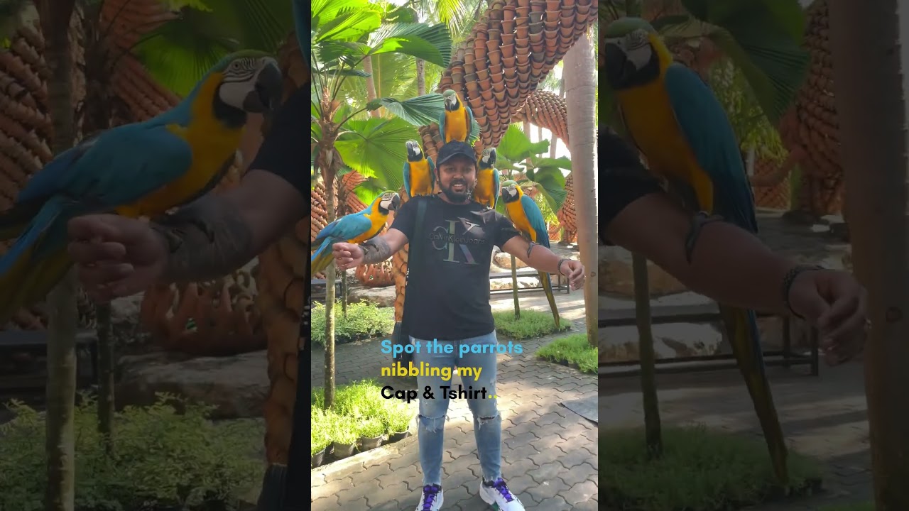 YouTube Short thumbnail