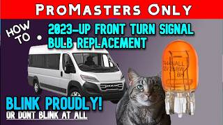 2023 and newer Ram Promaster Front Turn Signal Bulb Park Lamp Replacement. No Tools Required! Fun!