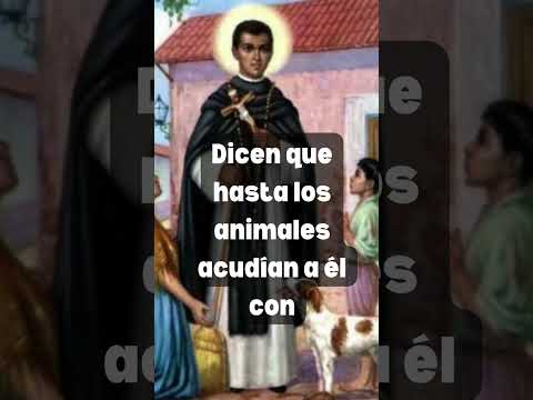 ¿Quién fue San Martín de Porres? El santo humilde que cambió la historia #sanmartindeporres