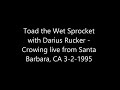 Toad the Wet Sprocket - Crowing live from Santa Barbara, CA 3-2-1995