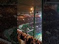 Discoland/Zombienation - Celtic vs Valencia - 14/02/2019
