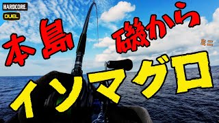 本島磯からイソマグロ  × 沖縄釣り × 北部 ＃357