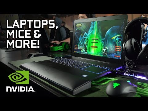 A D.Va Headset, Powerful Laptops, and the Overwatch League