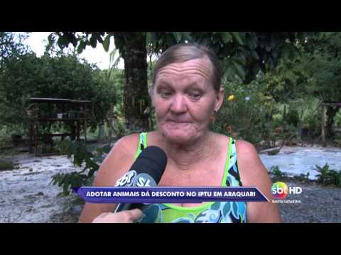 IPTU animais - Maikon Costa/ Oziel Montibeler