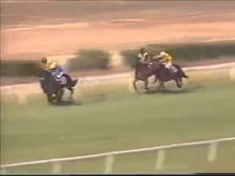 78. Magyar Derby Hungarian Derby