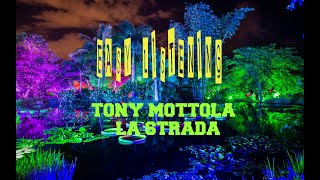 TONY MOTTOLA - LA STRADA