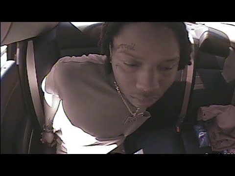 Dashcam: Bloodhound Rell Vert arrested after running from GSP, bit by K-9 (2025)