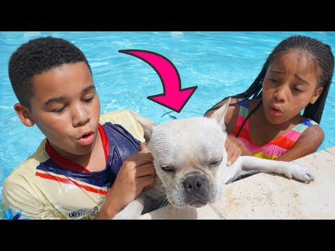 Cali's DOG ALMOST DROWNS, She SAVES HIS LIFE 💔