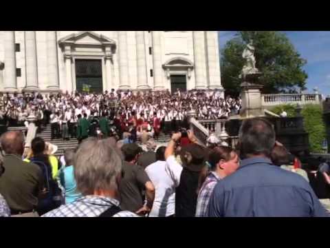 EJHBF 2015 Waldkauz Polka