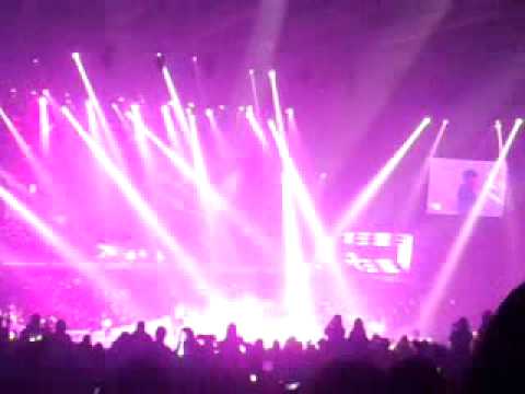 [310813] OGS INA - wings