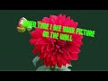 john holt i can't get out of your mind lyrics