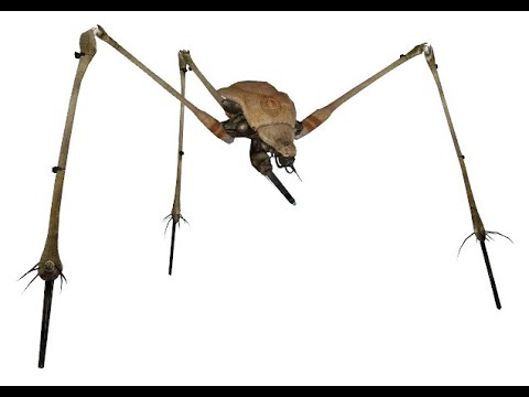 Garry's Mod strider walk