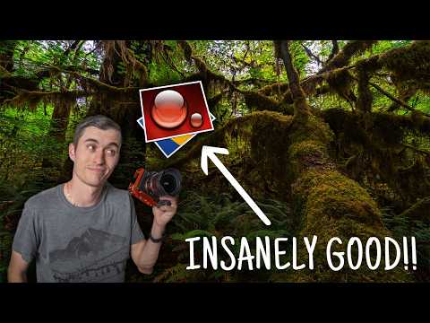 Helicon Focus for Landscape Photography - Honest Review